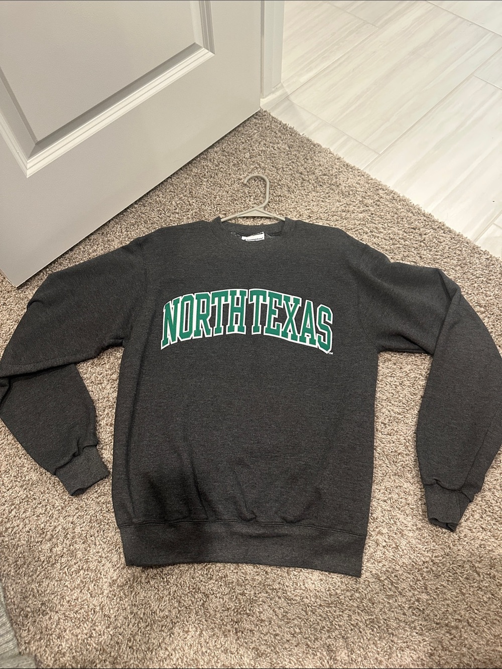 North Texas Champion Crewneck. UNT